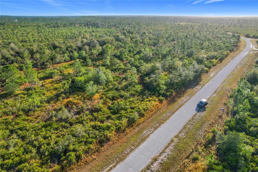 Build your Florida dream on this 1-acre homesite located at Lot - photo 11