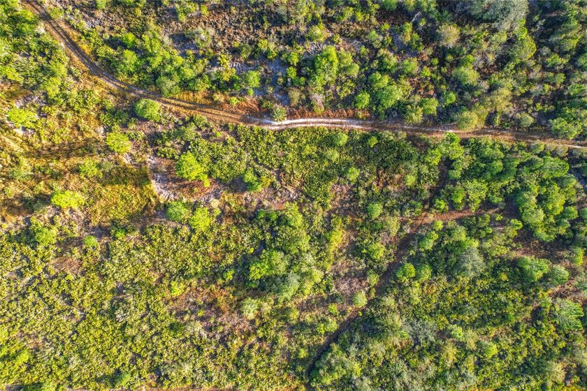 Build your Florida dream on this 1-acre homesite located at Lot - photo 14