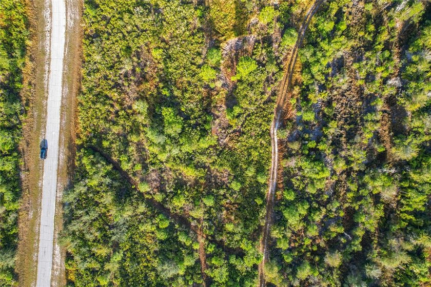 Build your Florida dream on this 1-acre homesite located at Lot - photo 15