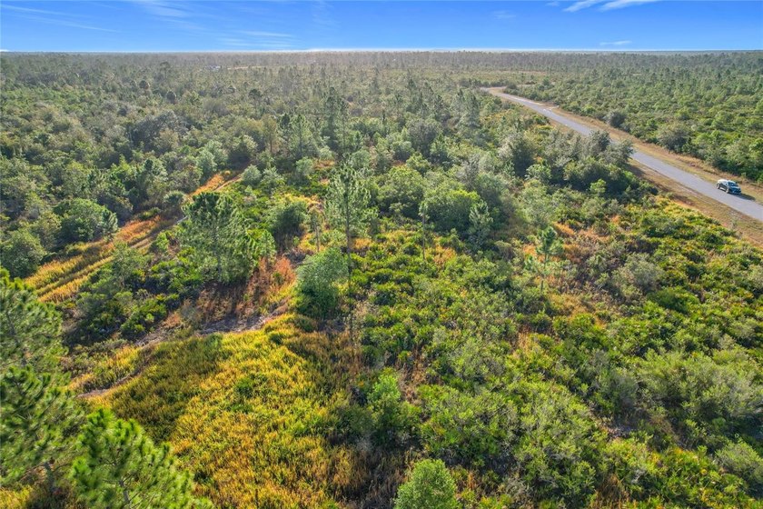 Build your Florida dream on this 1-acre homesite located at Lot - photo 16