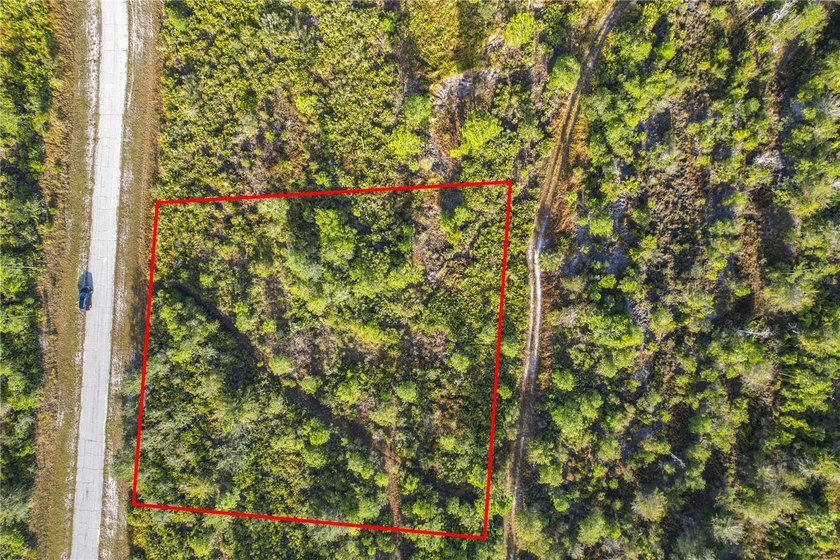 Build your Florida dream on this 1-acre homesite located at Lot - photo 19