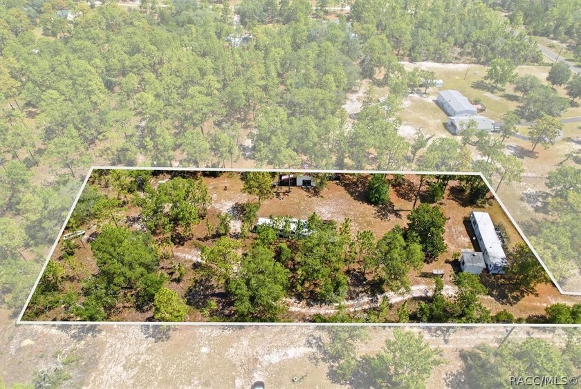 Affordable opportunity on 1.40 acres in Homosassa! This - photo 11