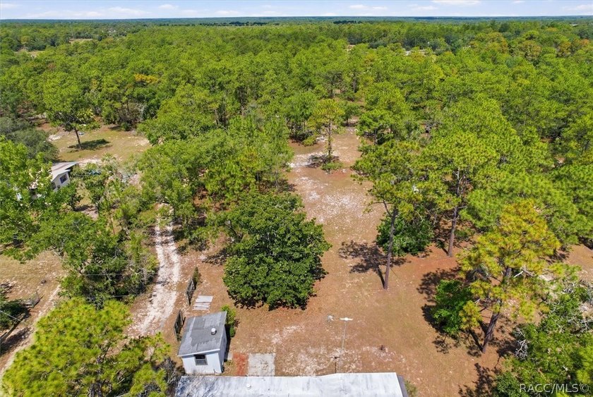 Affordable opportunity on 1.40 acres in Homosassa! This - photo 13