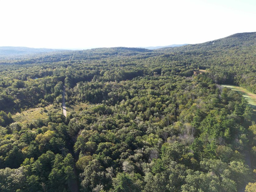 Beautiful 11.933 acre lot that looks out on the 1st fairway of - photo 2