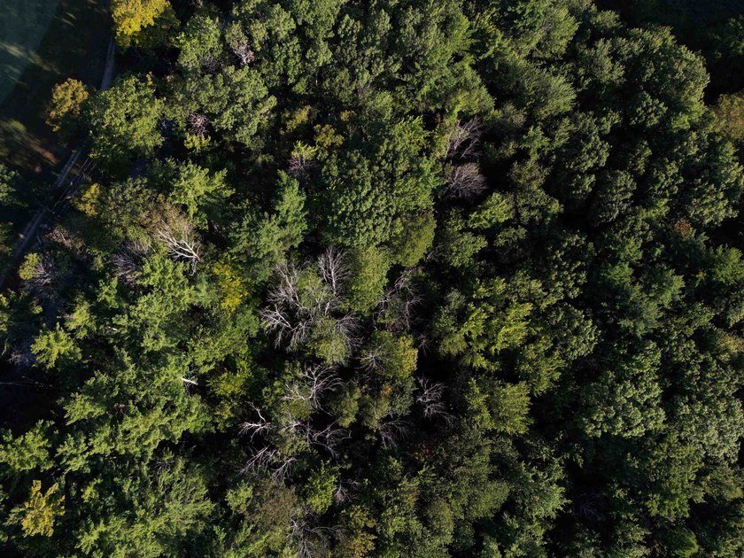 Beautiful 11.933 acre lot that looks out on the 1st fairway of - photo 6