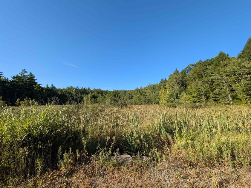 Beautiful 11.933 acre lot that looks out on the 1st fairway of - photo 8