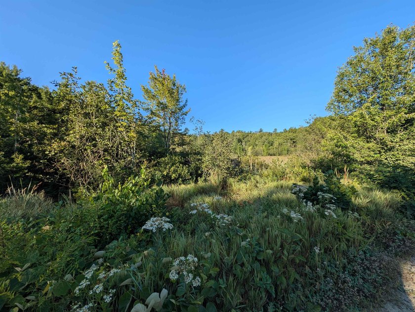 Beautiful 11.933 acre lot that looks out on the 1st fairway of - photo 9