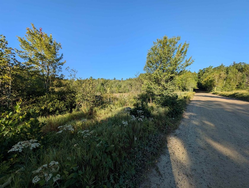 Beautiful 11.933 acre lot that looks out on the 1st fairway of - photo 10