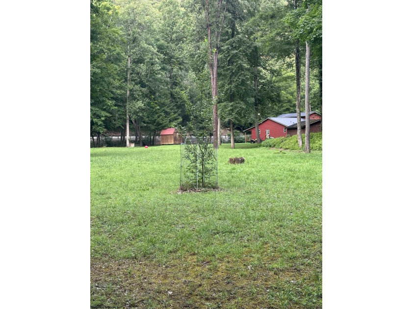 Riverfront retreat on 8 breathtaking acres! This beautiful home - photo 33