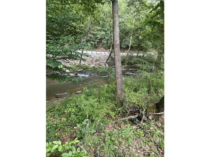 Riverfront retreat on 8 breathtaking acres! This beautiful home - photo 36