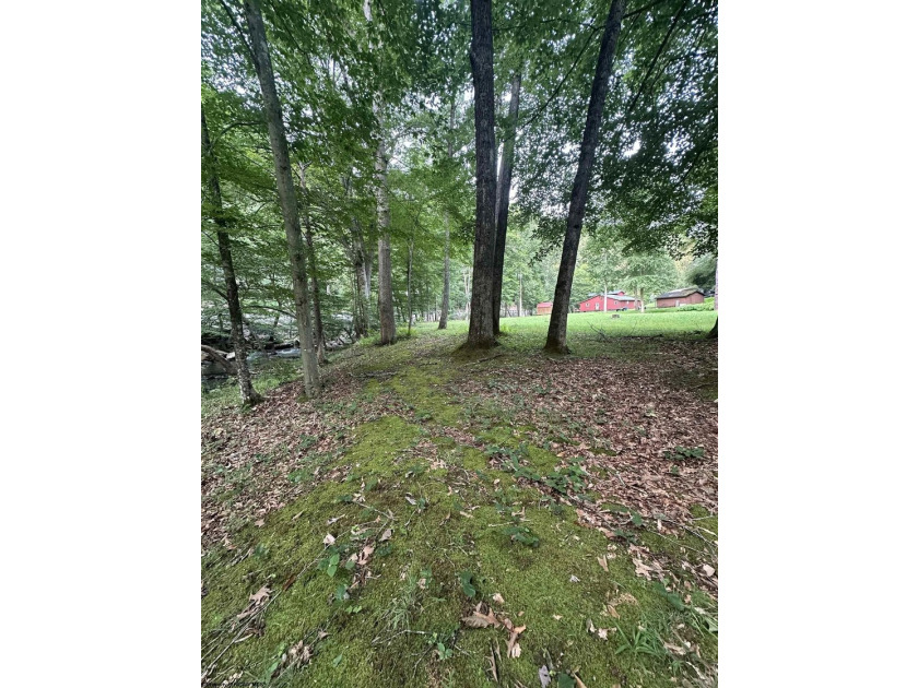 Riverfront retreat on 8 breathtaking acres! This beautiful home - photo 37