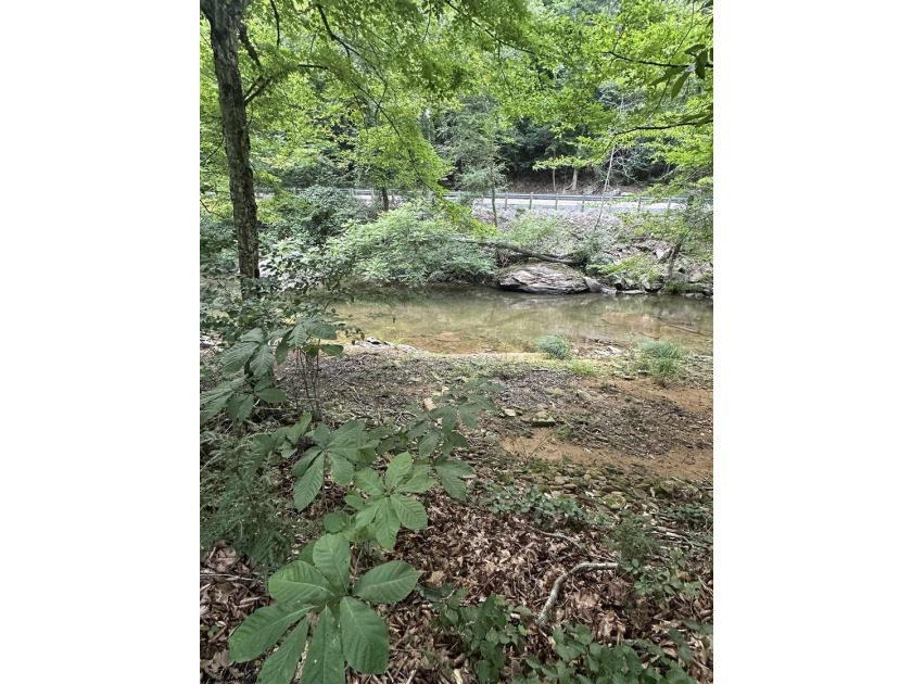 Riverfront retreat on 8 breathtaking acres! This beautiful home - photo 38