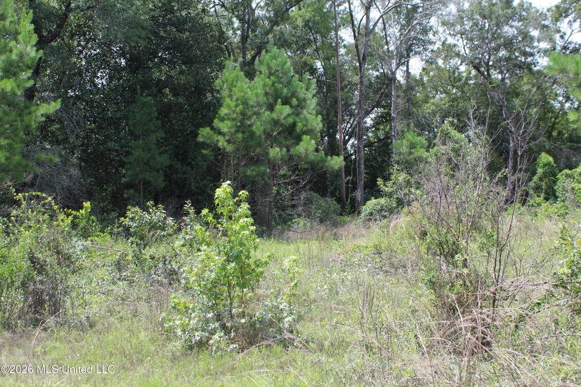 Rare 6.66-acre tract offering privacy, natural beauty and - photo 11