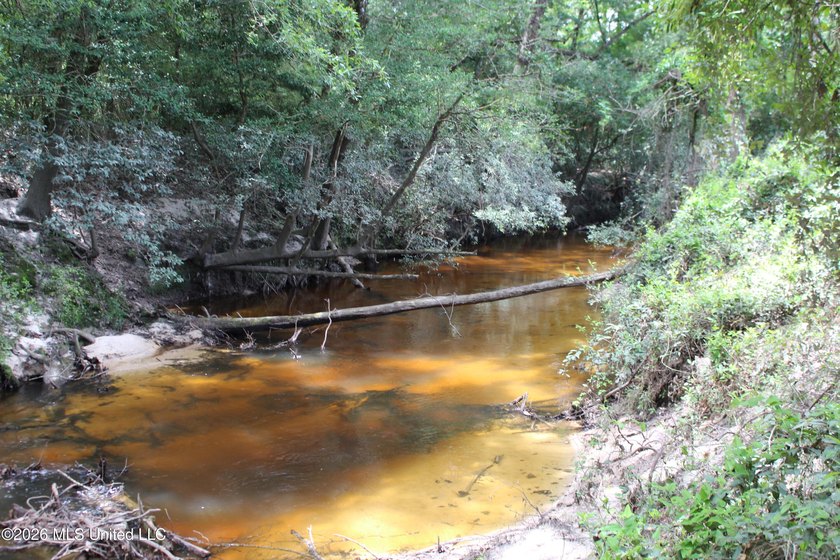 Rare 6.66-acre tract offering privacy, natural beauty and - photo 12