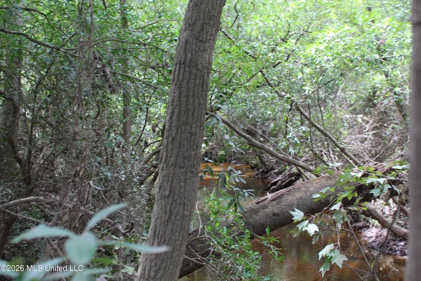Rare 6.66-acre tract offering privacy, natural beauty and - photo 18