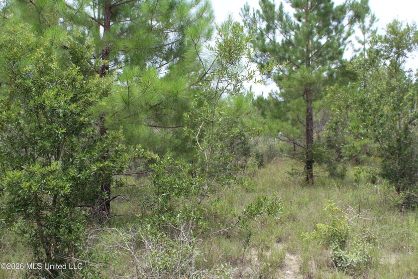 Rare 6.66-acre tract offering privacy, natural beauty and - photo 21