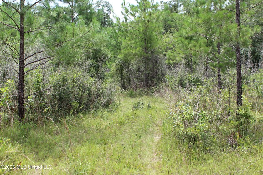 Rare 6.66-acre tract offering privacy, natural beauty and - photo 25