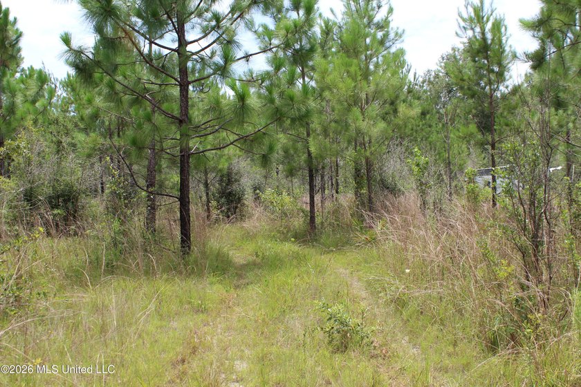 Rare 6.66-acre tract offering privacy, natural beauty and - photo 26