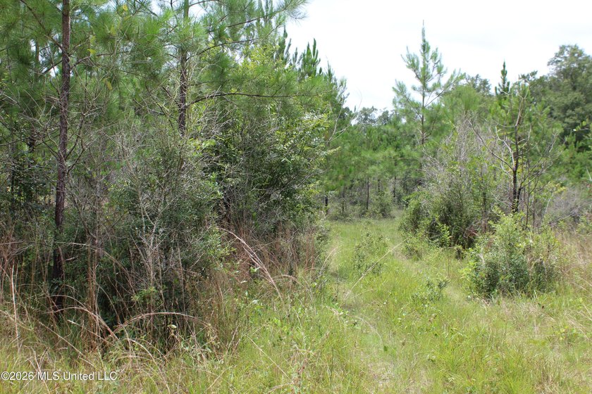 Rare 6.66-acre tract offering privacy, natural beauty and - photo 27