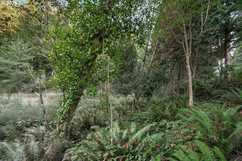 Discover the potential of this 1.51-acre multi-residential - photo 3