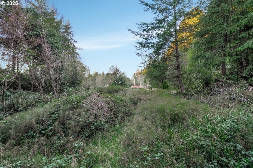 Discover the potential of this 1.51-acre multi-residential - photo 4