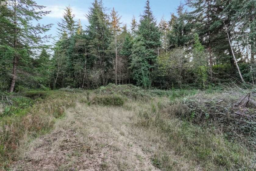 Discover the potential of this 1.51-acre multi-residential - photo 5