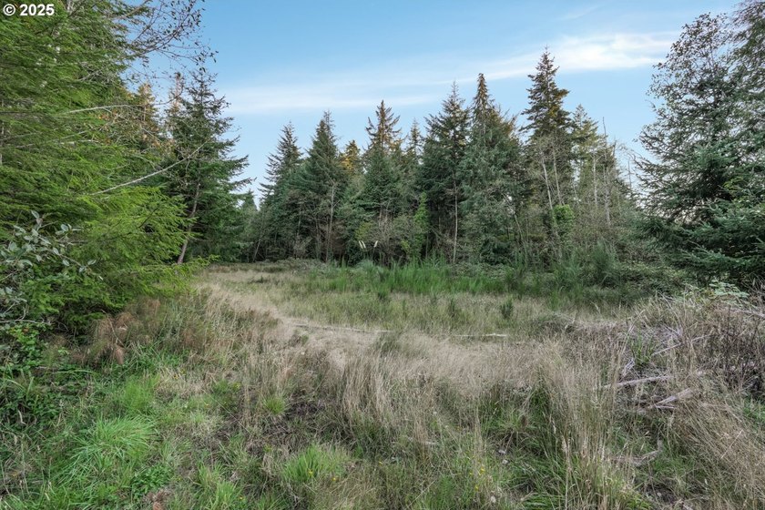 Discover the potential of this 1.51-acre multi-residential - photo 6