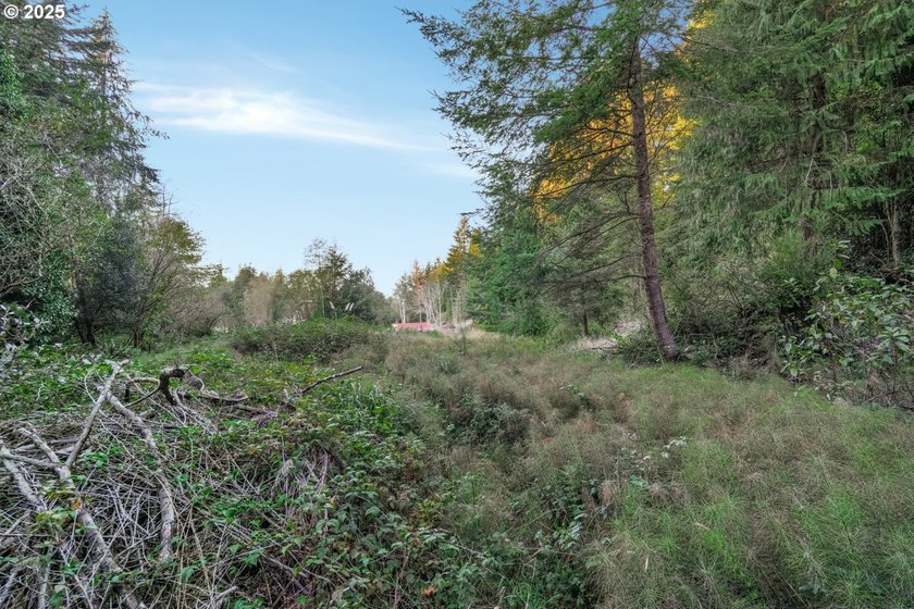 Discover the potential of this 1.51-acre multi-residential - photo 8