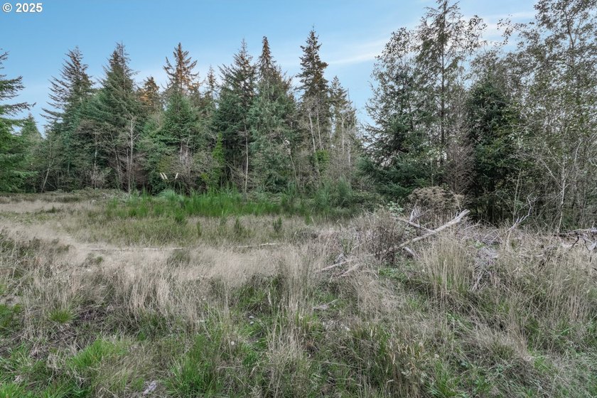 Discover the potential of this 1.51-acre multi-residential - photo 9
