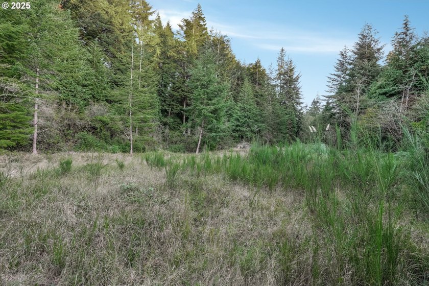 Discover the potential of this 1.51-acre multi-residential - photo 10