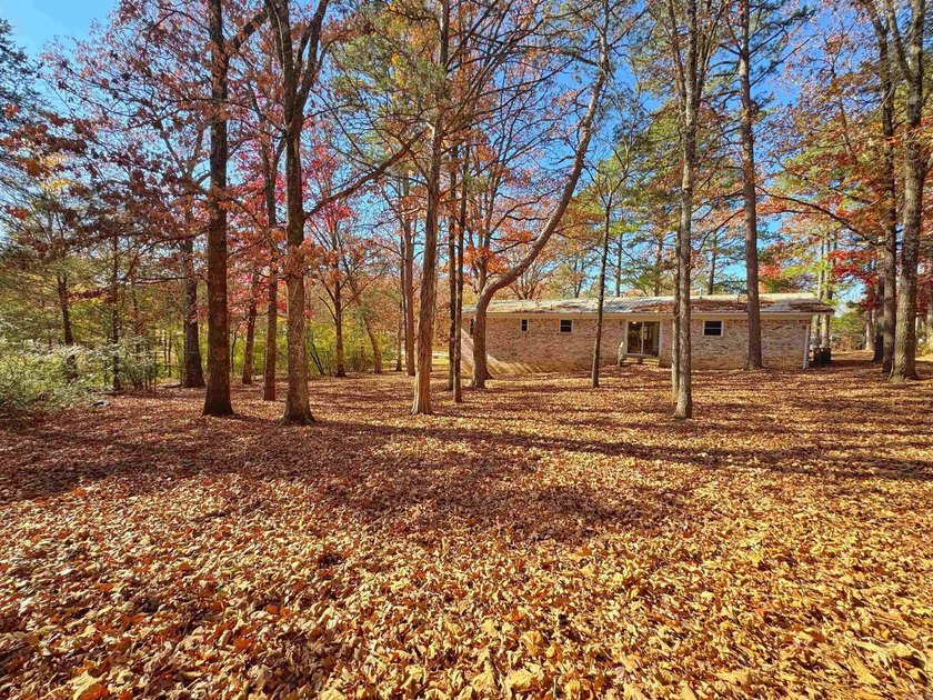 HUGE price drop, Ready to sell quick! Home will be sold as is - photo 11