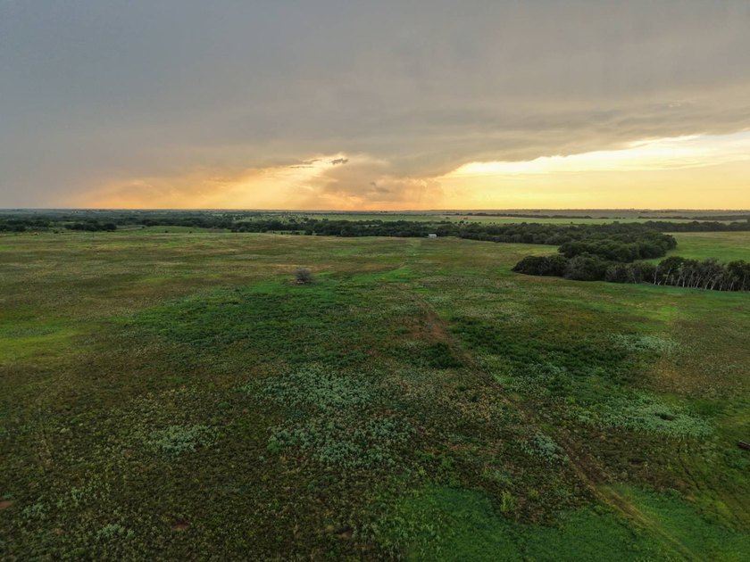 1541 +/- Acres of Riverfront Property **Willing to Divide** Land - photo 4
