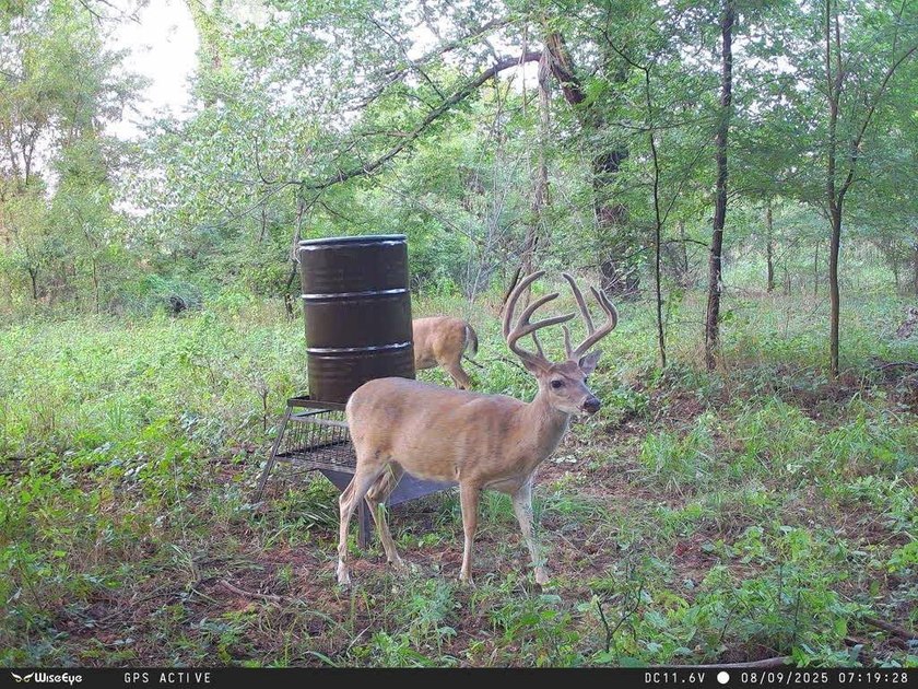 1541 +/- Acres of Riverfront Property **Willing to Divide** Land - photo 6