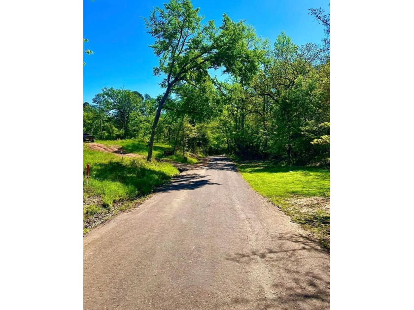 Unrestricted East Texas acreage where your imagination gets to - photo 4