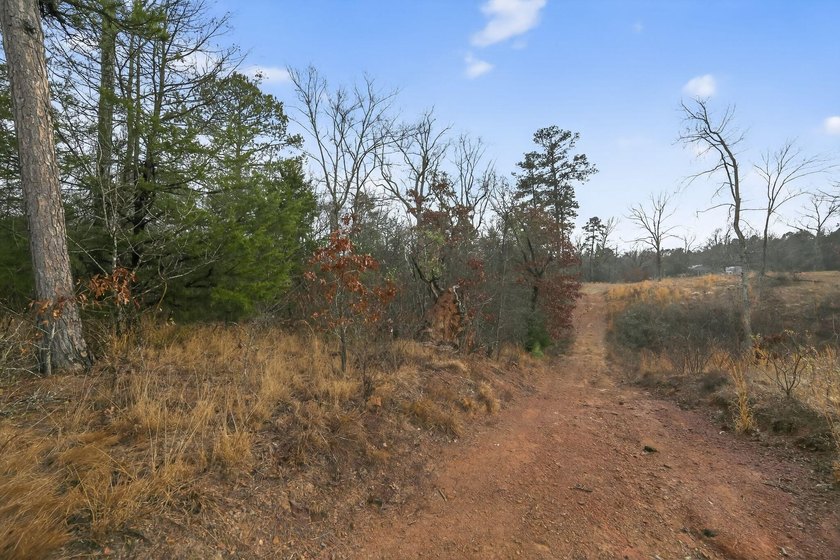 Unrestricted East Texas acreage where your imagination gets to - photo 6