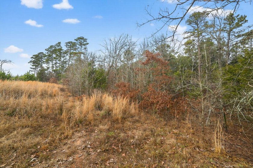 Unrestricted East Texas acreage where your imagination gets to - photo 9