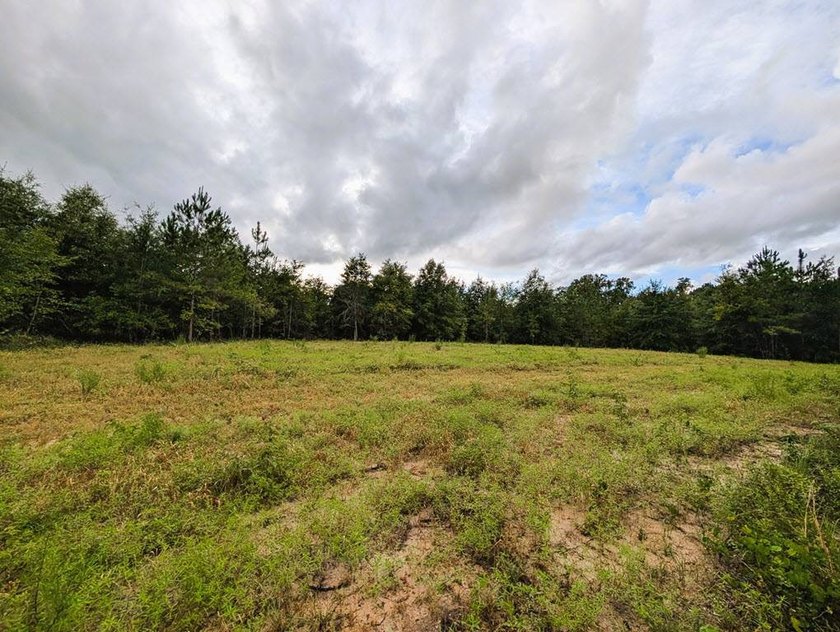 Chattahoochee Mini Farm Chattahoochee Mini Farm is located in - photo 6