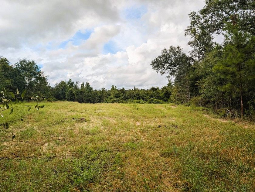 Chattahoochee Mini Farm Chattahoochee Mini Farm is located in - photo 7