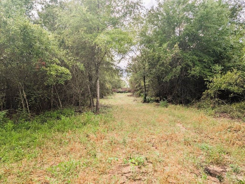 Chattahoochee Mini Farm Chattahoochee Mini Farm is located in - photo 9