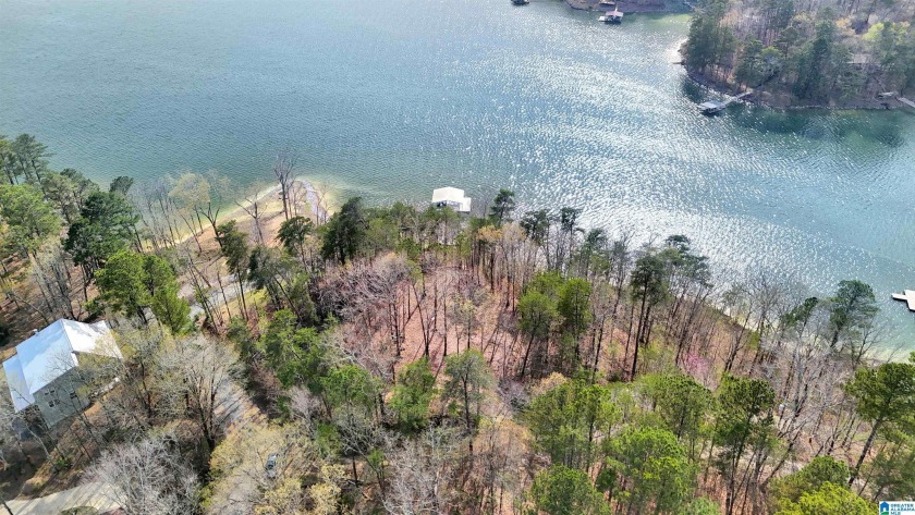 Discover the perfect spot to build your dream lake home on - photo 3