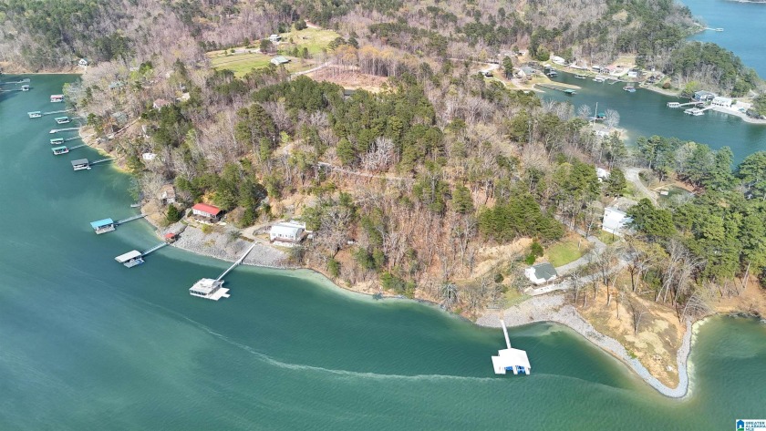 Discover the perfect spot to build your dream lake home on - photo 4