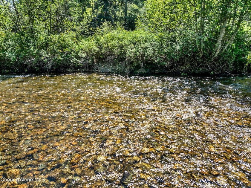 Tucked along 180 feet of Granite Creek frontage, this rare 1 - photo 32