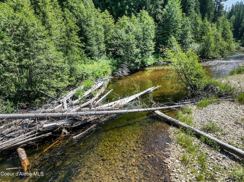 Tucked along 180 feet of Granite Creek frontage, this rare 1 - photo 42