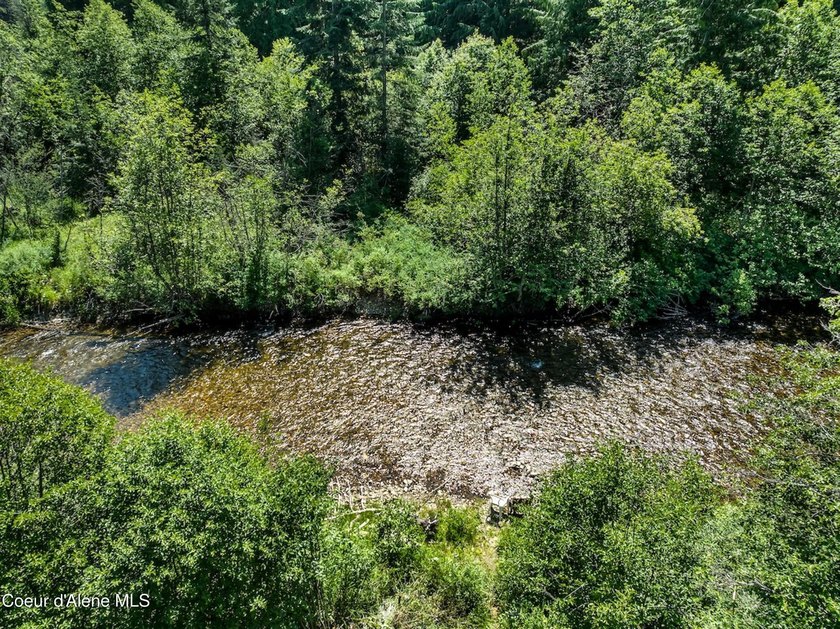 Tucked along 180 feet of Granite Creek frontage, this rare 1 - photo 43
