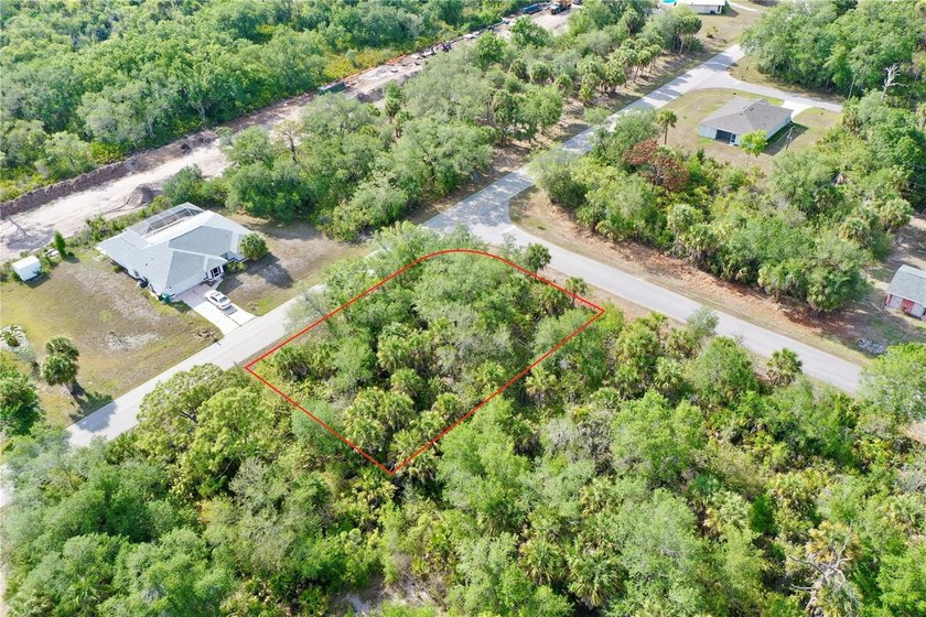 Build your custom Florida home on this oversized .28-acre corner - photo 12