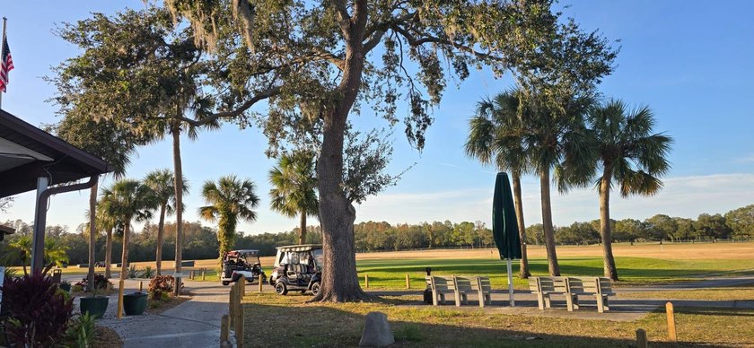 Live the Florida lifestyle you've been dreaming of in this - photo 31