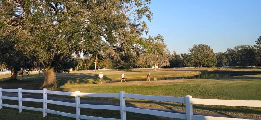 Live the Florida lifestyle you've been dreaming of in this - photo 44
