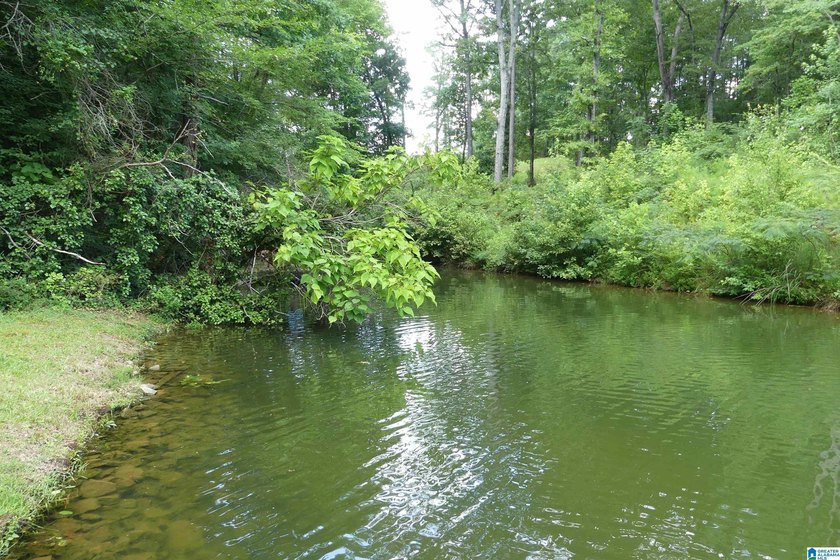 HERE IS A GEAT DEAL ON 2.93 ACRES OF WATER FRONT PROPERTY WITH - photo 2
