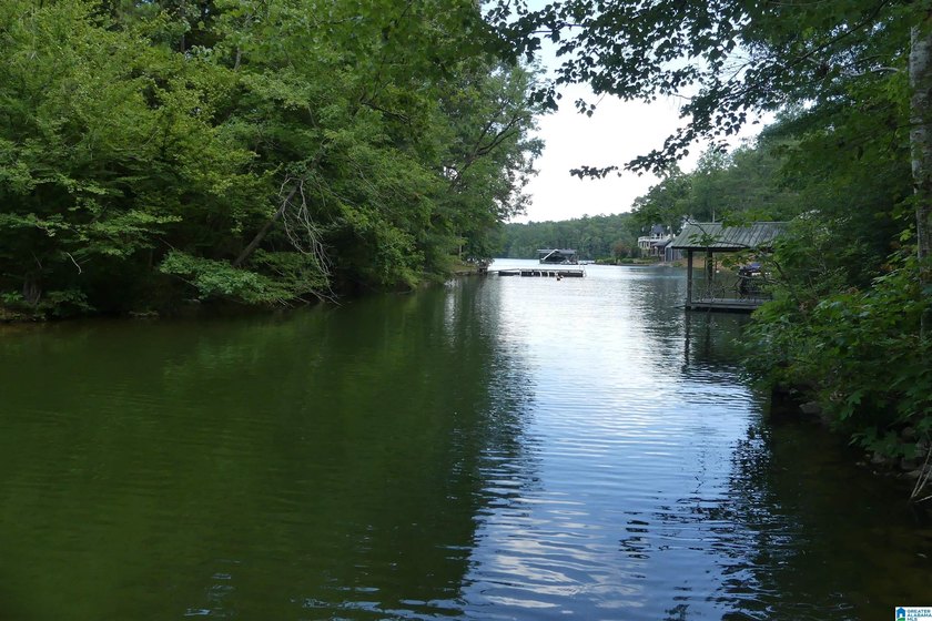 HERE IS A GEAT DEAL ON 2.93 ACRES OF WATER FRONT PROPERTY WITH - photo 3