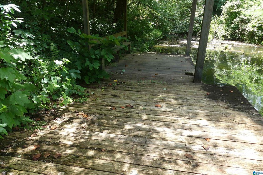 HERE IS A GEAT DEAL ON 2.93 ACRES OF WATER FRONT PROPERTY WITH - photo 6
